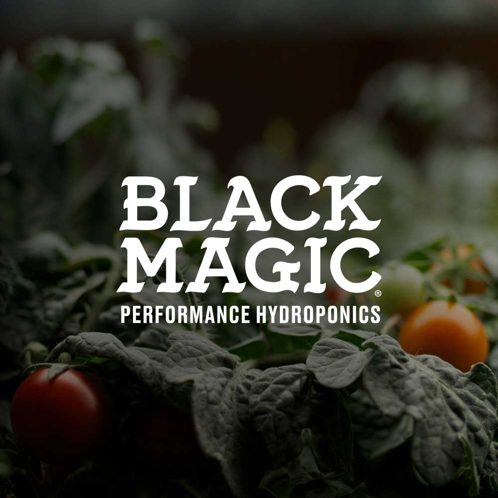 Black Magic